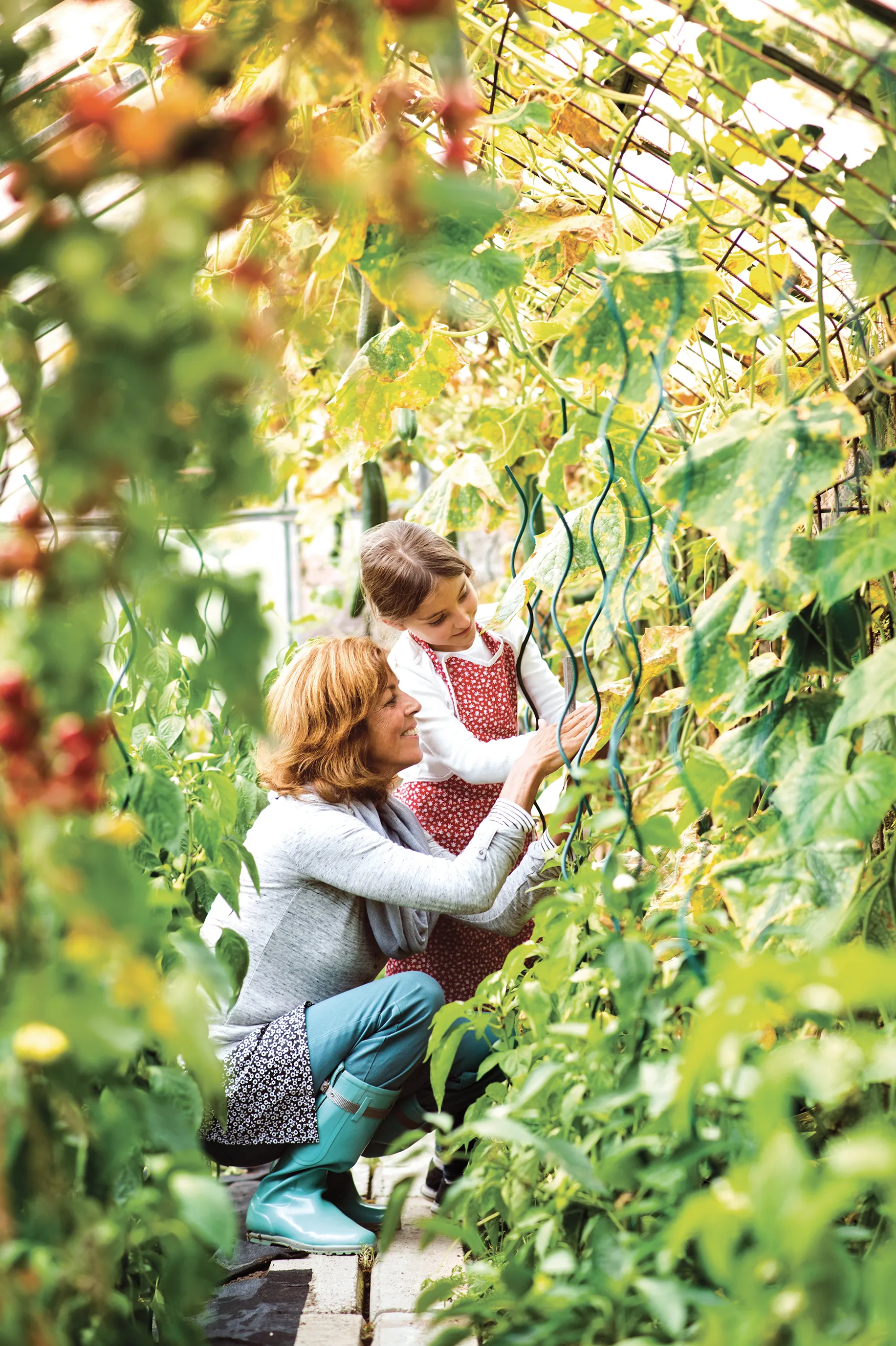 A person kneeling in a greenhouse, guiding another standing person on working with a plant support structure. The greenhouse is filled with lush greenery, showcasing various plants in an environment designed for hands-on learning and gardening.