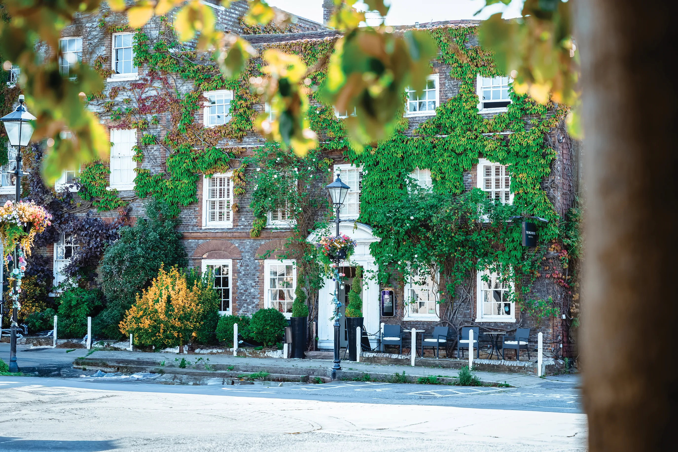 A historic building with a façade covered in dense green ivy, partially obscuring several windows. The white entrance door features a decorative arch above it, and a hanging flower basket adds a touch of charm near the entrance. The scene includes a sidewalk lined with street lamps, benches, and various plants, creating a picturesque, inviting atmosphere.