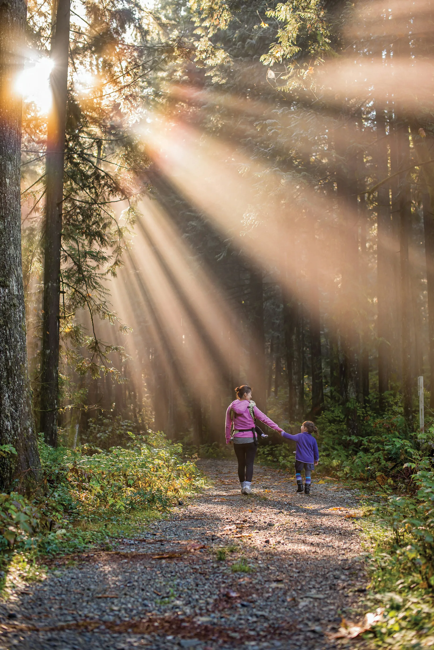 An adult in a pink jacket and a child in a purple jacket walk hand in hand along a gravel path in a sunlit forest. Rays of light stream through the trees, illuminating the scene with a warm glow. The surroundings are lush with dense foliage, creating a peaceful, natural setting.