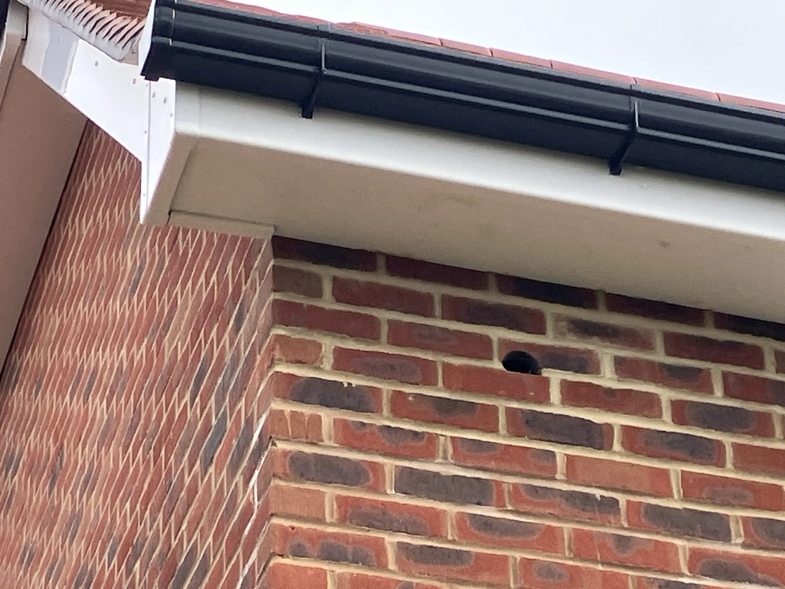 A brick wall of a house with a black gutter along the roofline. Near the roofline, there is a small circular hole in the brick wall, possibly an entry point for birds or other small animals.