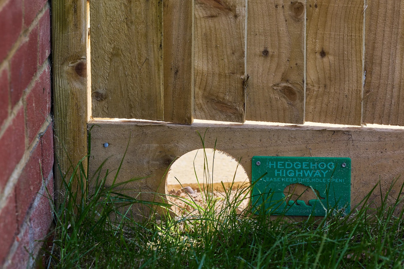 A wooden fence with a circular hole cut at the bottom. A green sign attached to the fence reads: "HEDGEHOG HIGHWAY. PLEASE KEEP THIS HOLE OPEN." The hole is designed to allow hedgehogs to pass through, supporting wildlife movement and connectivity. The fence is next to a brick wall, with grass growing around the base.