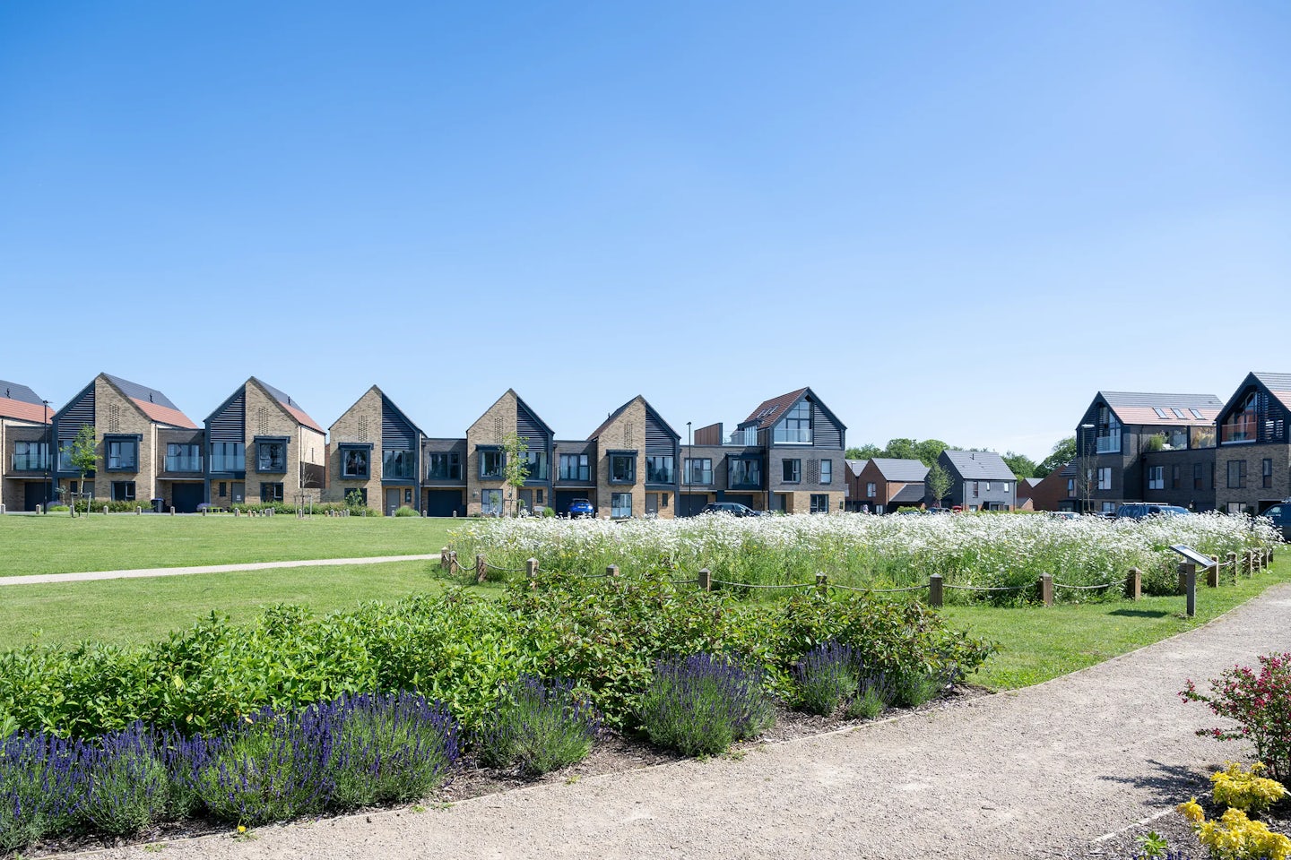A row of modern houses with pitched roofs and large windows, set in a residential neighbourhood. A wildflower meadow with various plants and flowers is in front, alongside a well-maintained green lawn. A gravel path runs beside the garden, leading toward the houses. The sky is clear and blue, indicating a sunny day.