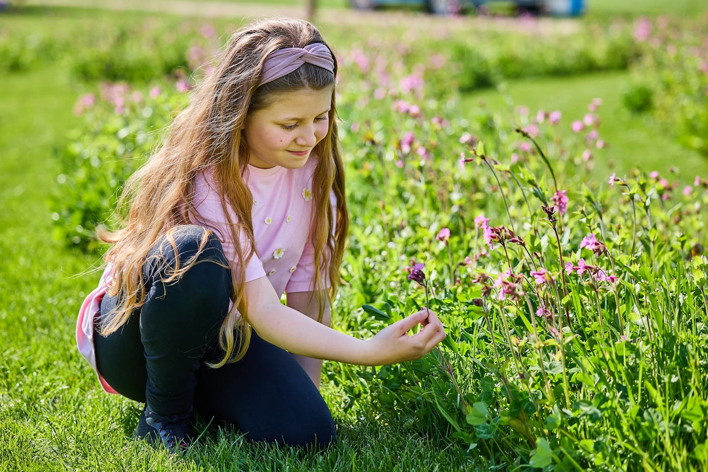 A young person with long hair, wearing a pink shirt and black pants, crouches in a grassy area with clusters of pink flowers. They appear to be examining or picking one of the flowers. The background features more green grass and additional pink blossoms, creating a vibrant natural setting.