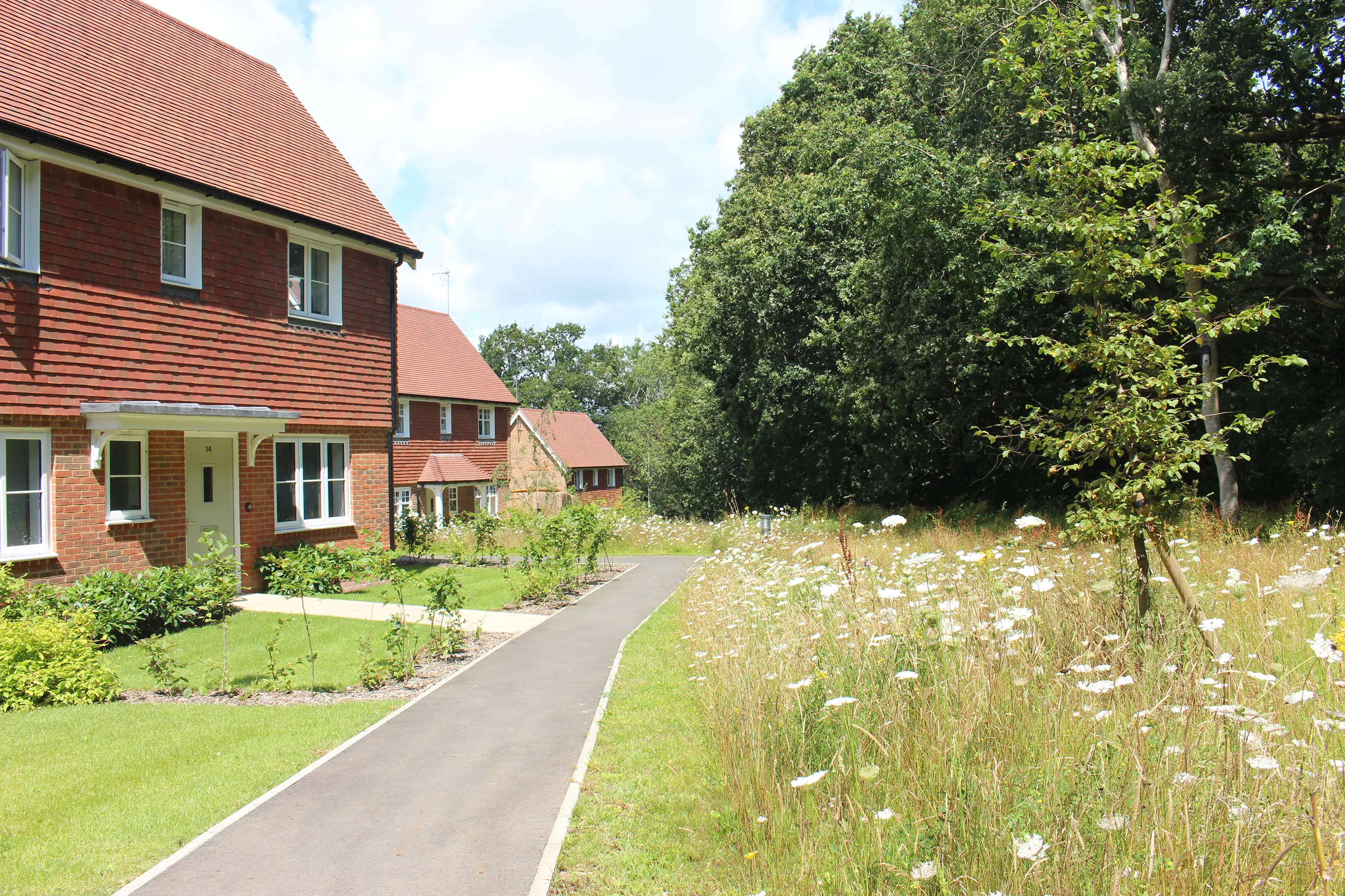 Two red-brick houses with sloped roofs stand on the left side of a paved pathway. The pathway runs alongside a grassy area dotted with wildflowers, leading towards a wooded background. The bright sunlight casts soft shadows, enhancing the natural details.