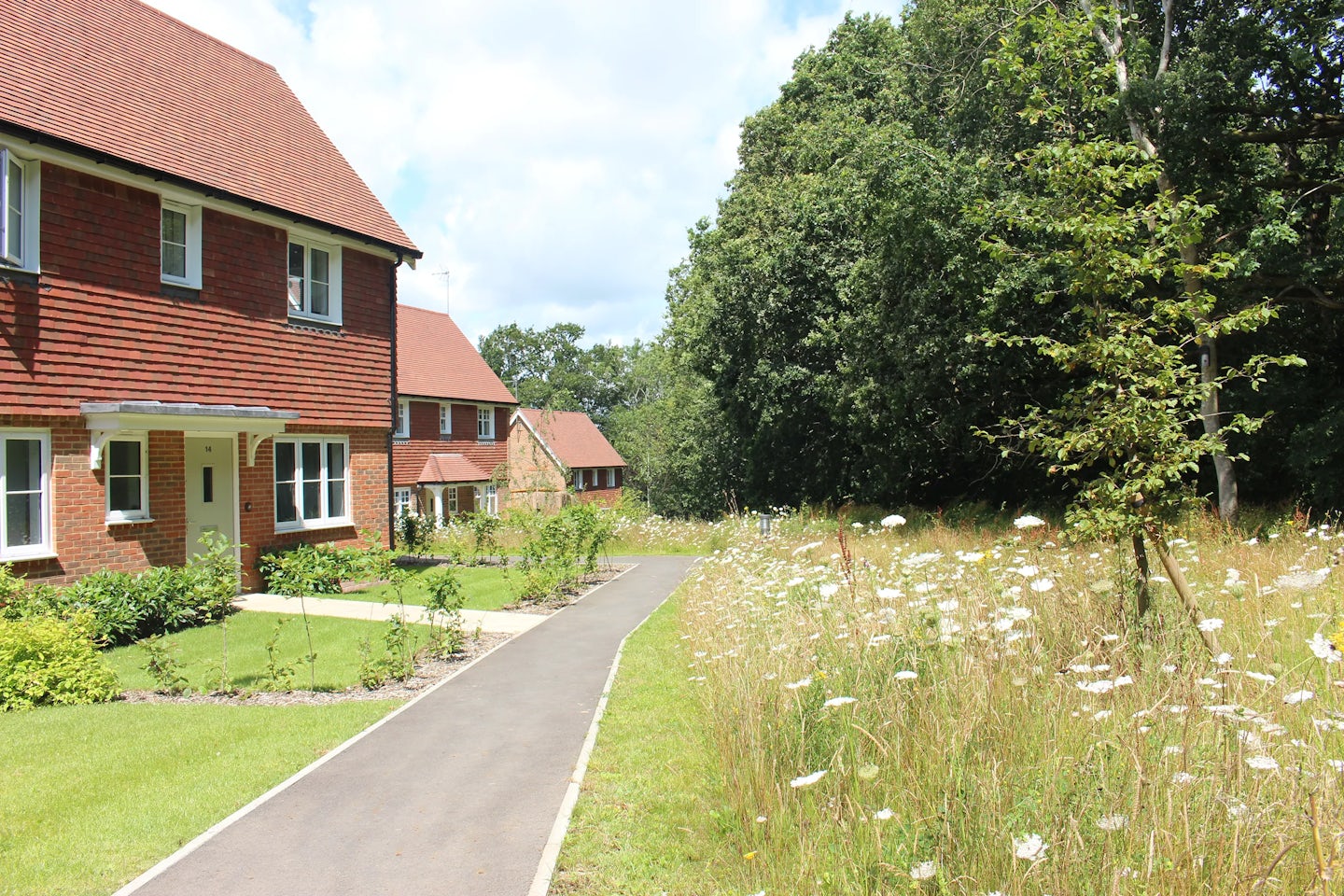 Two red-brick houses with sloped roofs stand on the left side of a paved pathway. The pathway runs alongside a grassy area dotted with wildflowers, leading towards a wooded background. The bright sunlight casts soft shadows, enhancing the natural details.