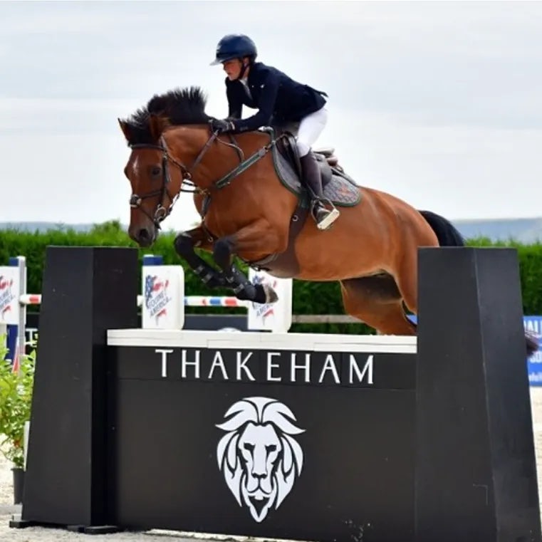 A horse and rider mid-jump over an obstacle during an equestrian event. The obstacle prominently displays the word "THAKEHAM" alongside a lion emblem, adding a branded touch to the scene. The rider, dressed in formal equestrian attire, demonstrates focus and control, while the horse exhibits strength and precision in its leap.