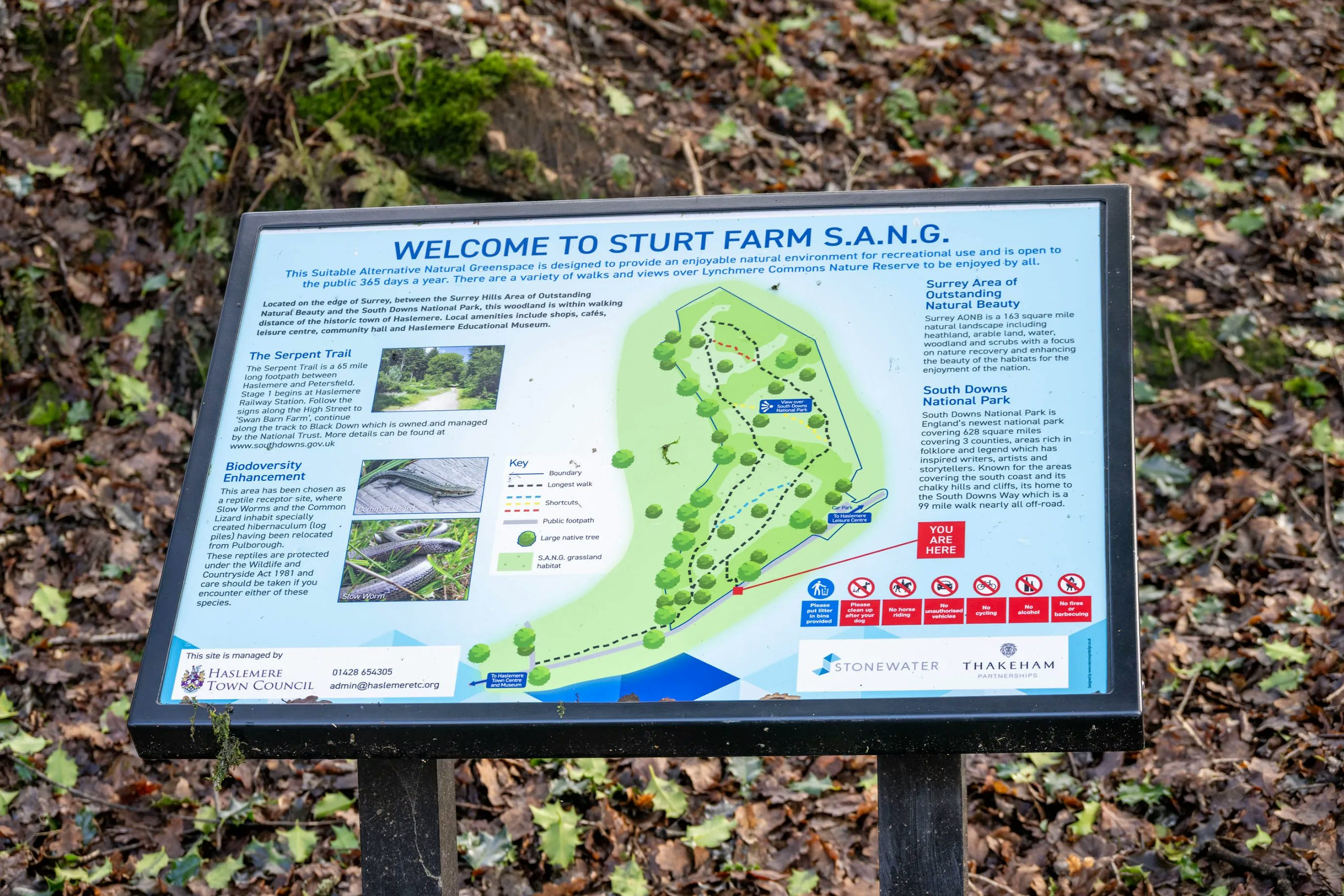 Informational sign at Sturt Farm S.A.N.G., a public greenspace, displayed on a wooden stand with a detailed map, trail routes, and guidelines. The sign welcomes visitors and highlights features such as the Serpent Trail, biodiversity initiatives, and local landmarks, including the Surrey Hills and South Downs National Park. Logos of Haslemere Town Council, Stonewater, and Thakeham appear at the base, representing partners involved in the site’s development.