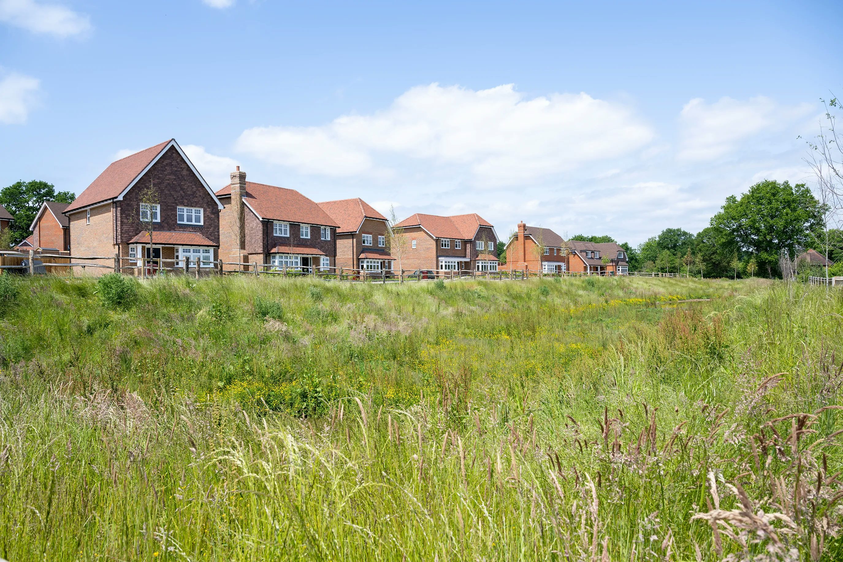 A row of modern detached houses with red-tiled roofs and brick facades lines the horizon behind a wide grassy field dotted with wildflowers. Trees frame the background beneath a clear sky with scattered clouds, creating a peaceful contrast between natural greenery and suburban housing.