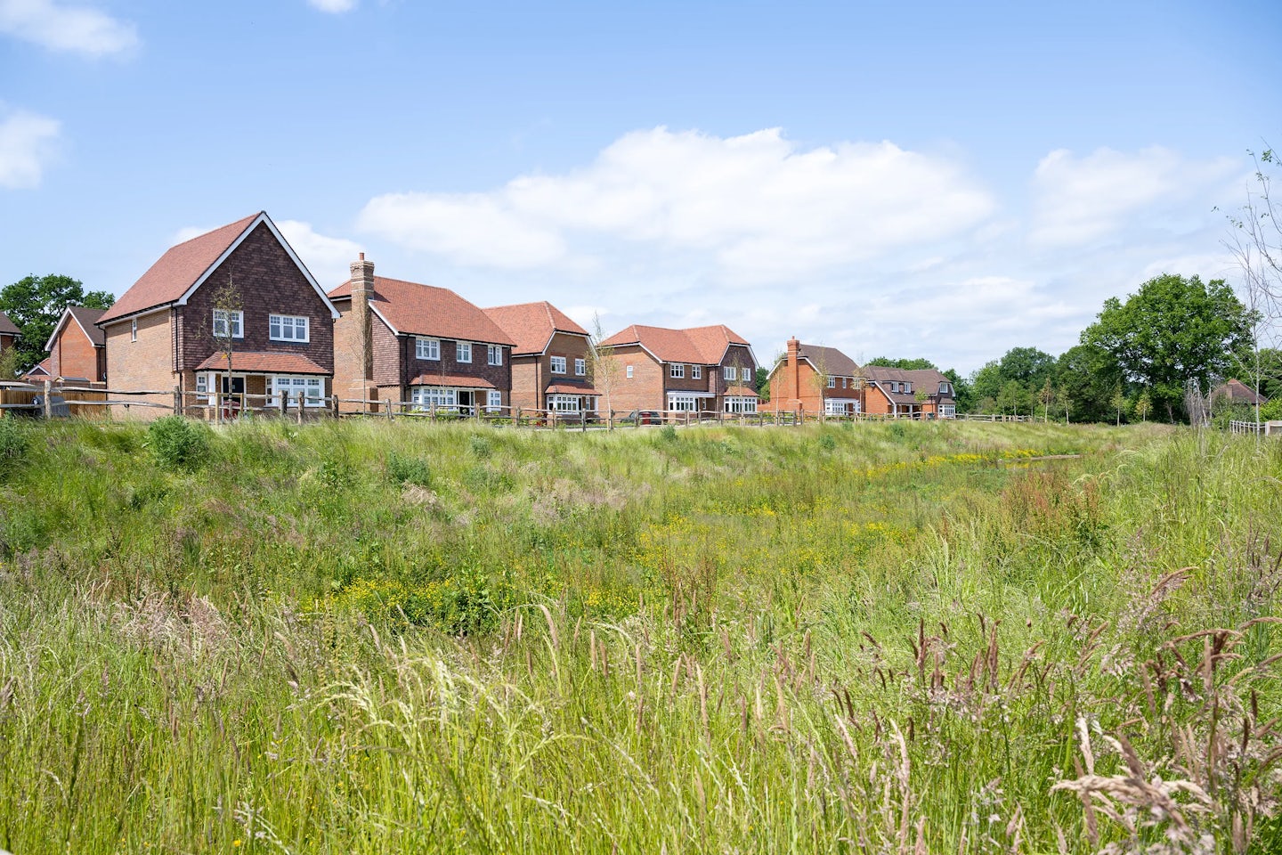 A row of modern detached houses with red-tiled roofs and brick facades lines the horizon behind a wide grassy field dotted with wildflowers. Trees frame the background beneath a clear sky with scattered clouds, creating a peaceful contrast between natural greenery and suburban housing.