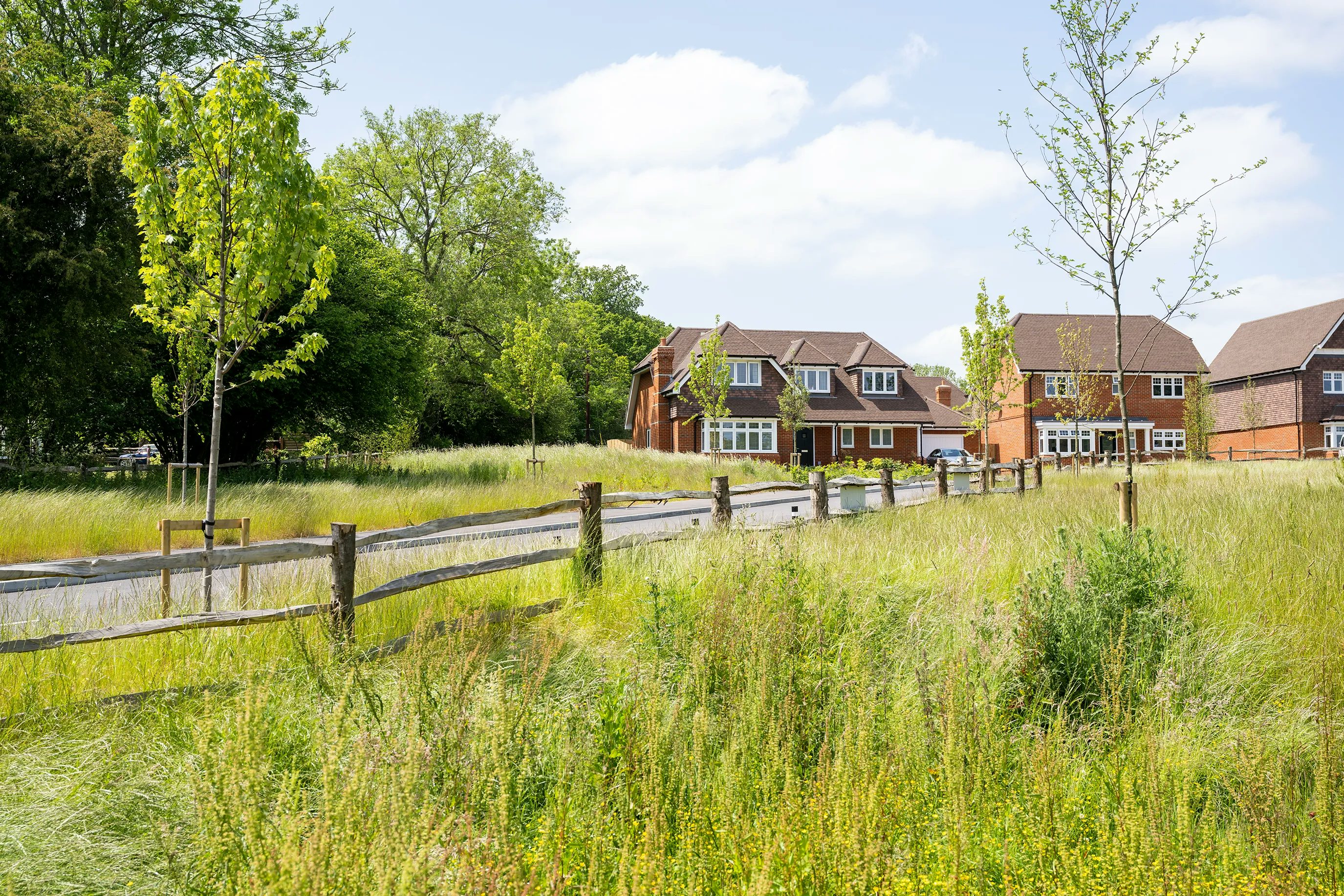 A quiet suburban scene featuring several detached houses nestled among tall grass and trees. A weathered wooden fence lines a narrow path or road that curves gently toward the homes. The sky is partly cloudy, with soft light breaking through blue patches, giving the setting a tranquil, slightly pastoral atmosphere.