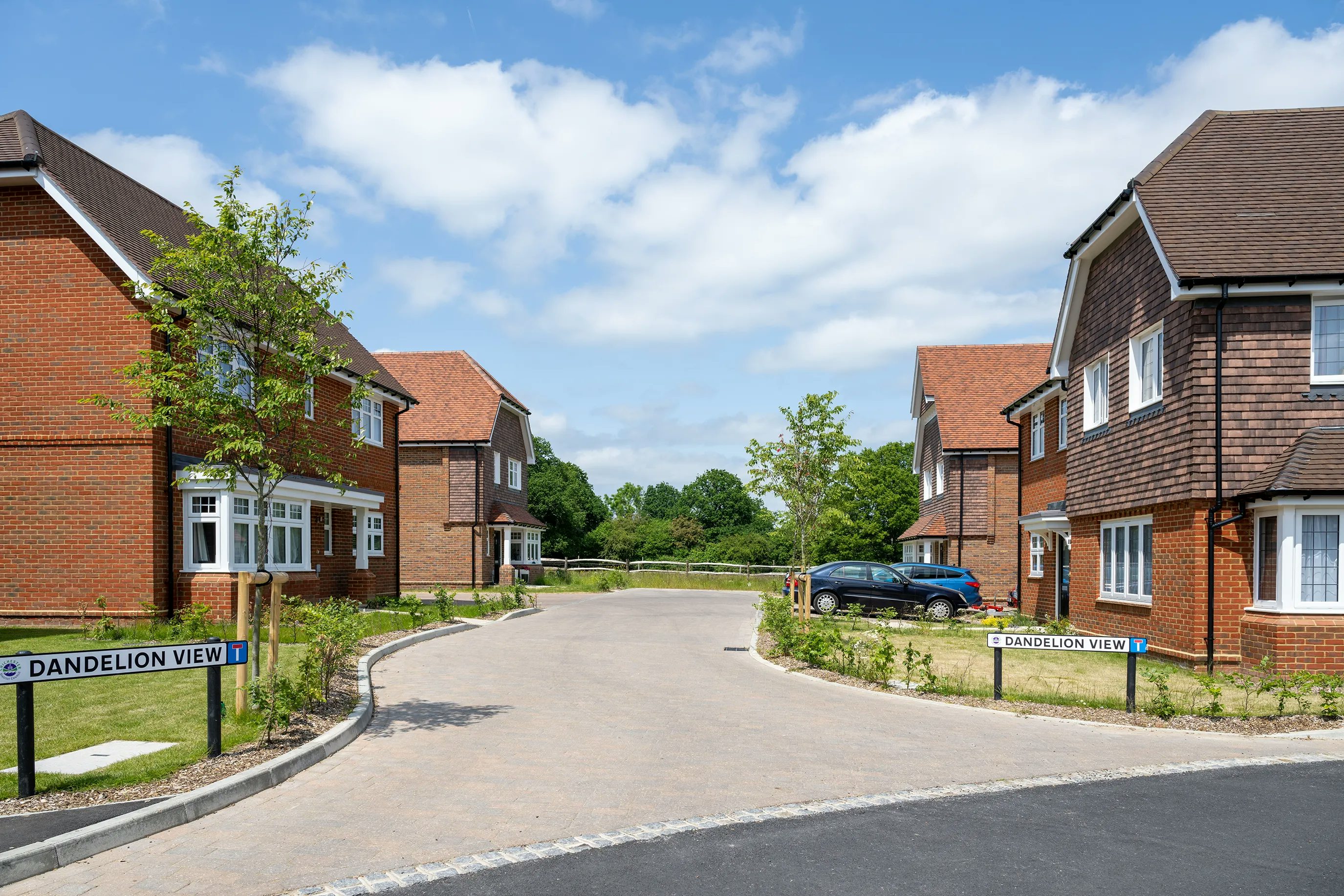 A quiet suburban street named Dandelion View, lined with modern red-brick homes featuring tidy gardens and driveways. Two street signs display the name, while a parked car rests on the right. Trees, shrubs, and a partly cloudy sky add a touch of nature and tranquility.