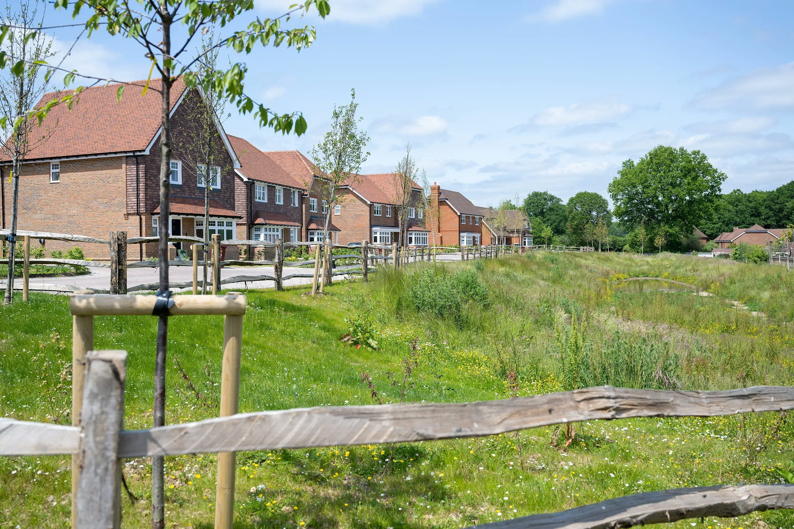 Row of modern brick houses with red-tiled roofs along a paved path, bordered by a wooden fence and young trees, with grassy meadow and woodland in the background on a sunny day.