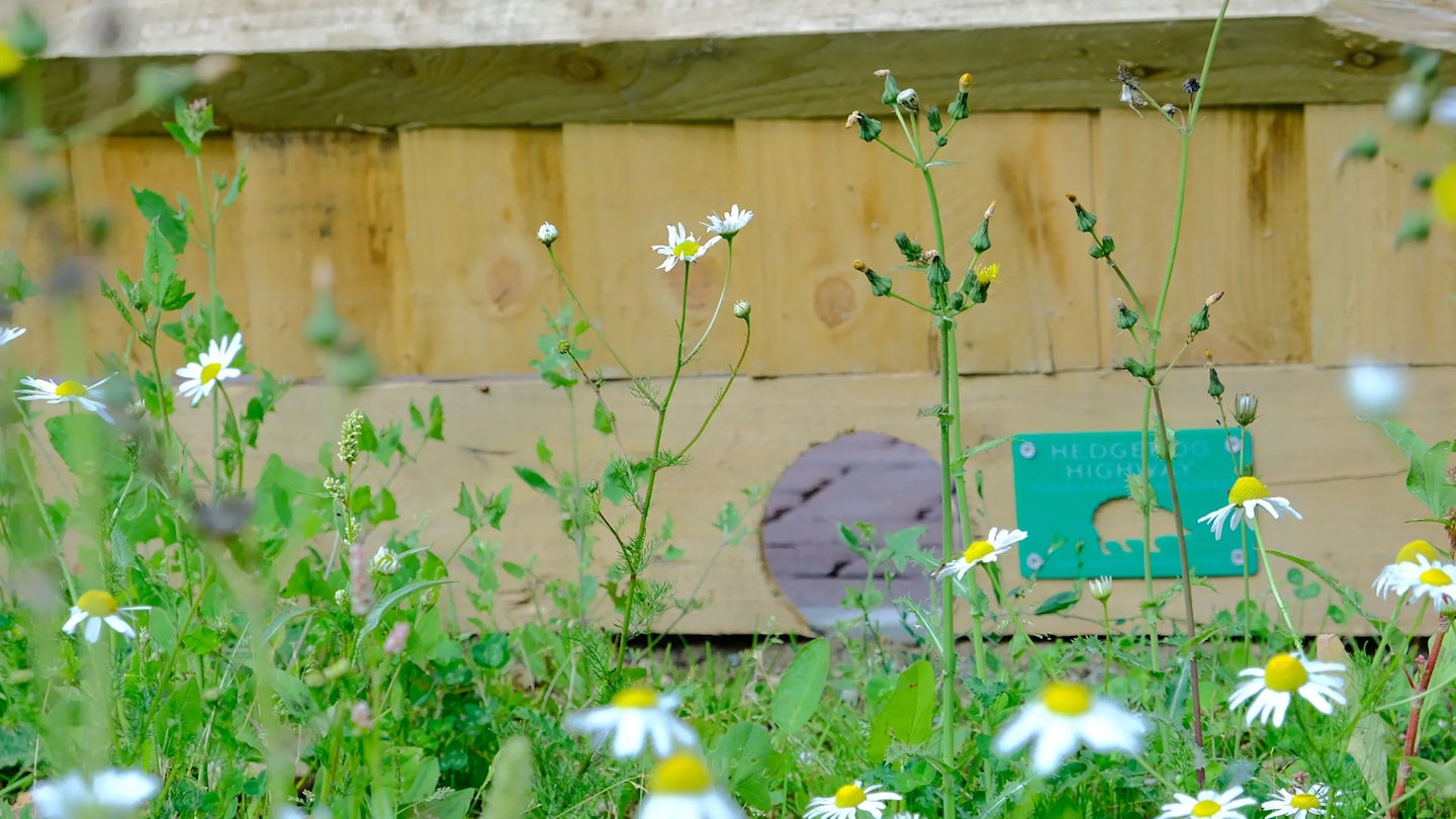 Green sign reading “HEDGEHOG HIGHWAY” with a hedgehog illustration, mounted on a wooden structure in the background. Wildflowers and tall grass fill the foreground, creating a habitat-friendly scene under a partly cloudy sky.