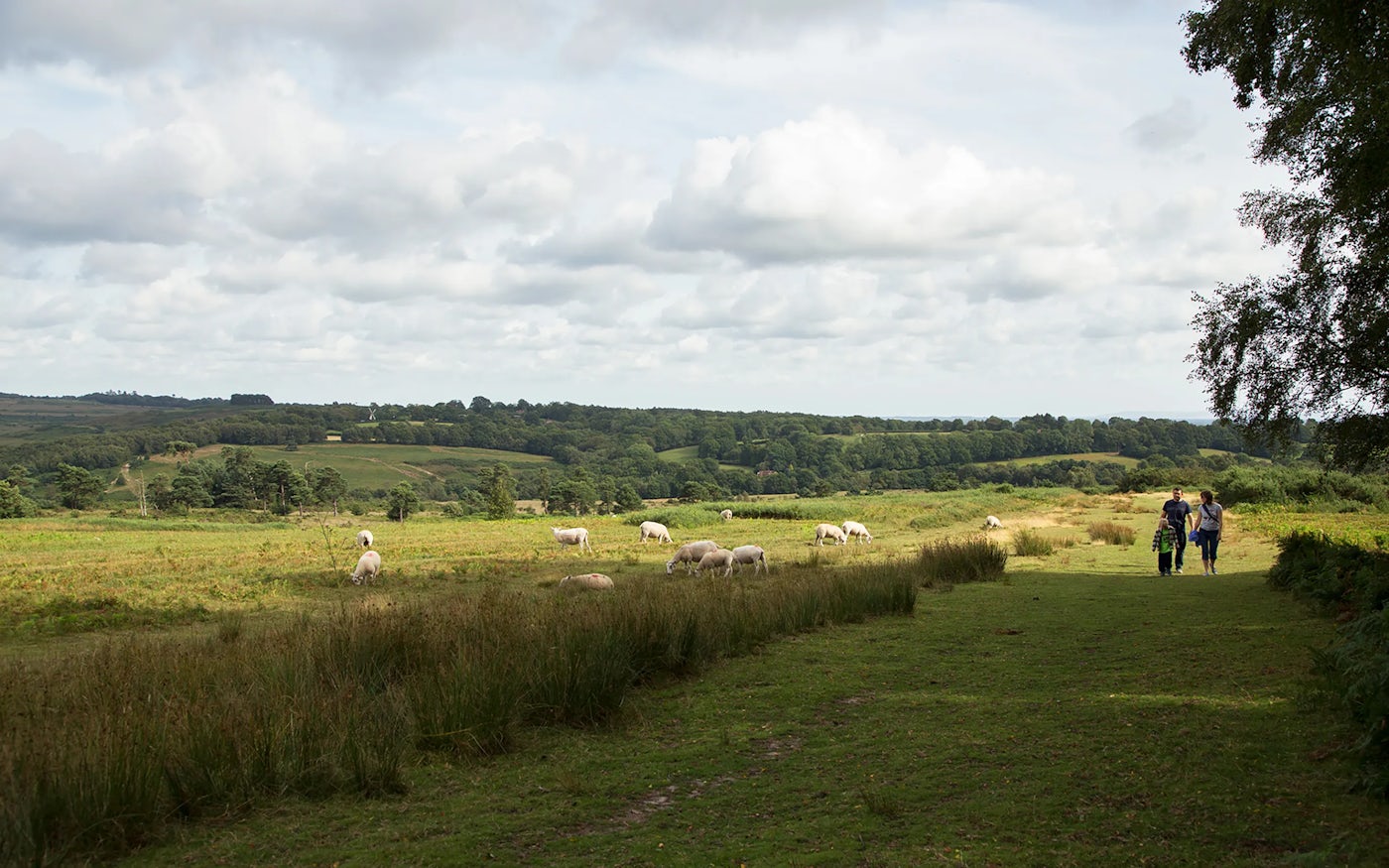 Scenic countryside landscape with a grassy field, grazing sheep, rolling hills, two people walking on a path, and trees on both sides under a partly cloudy sky.
