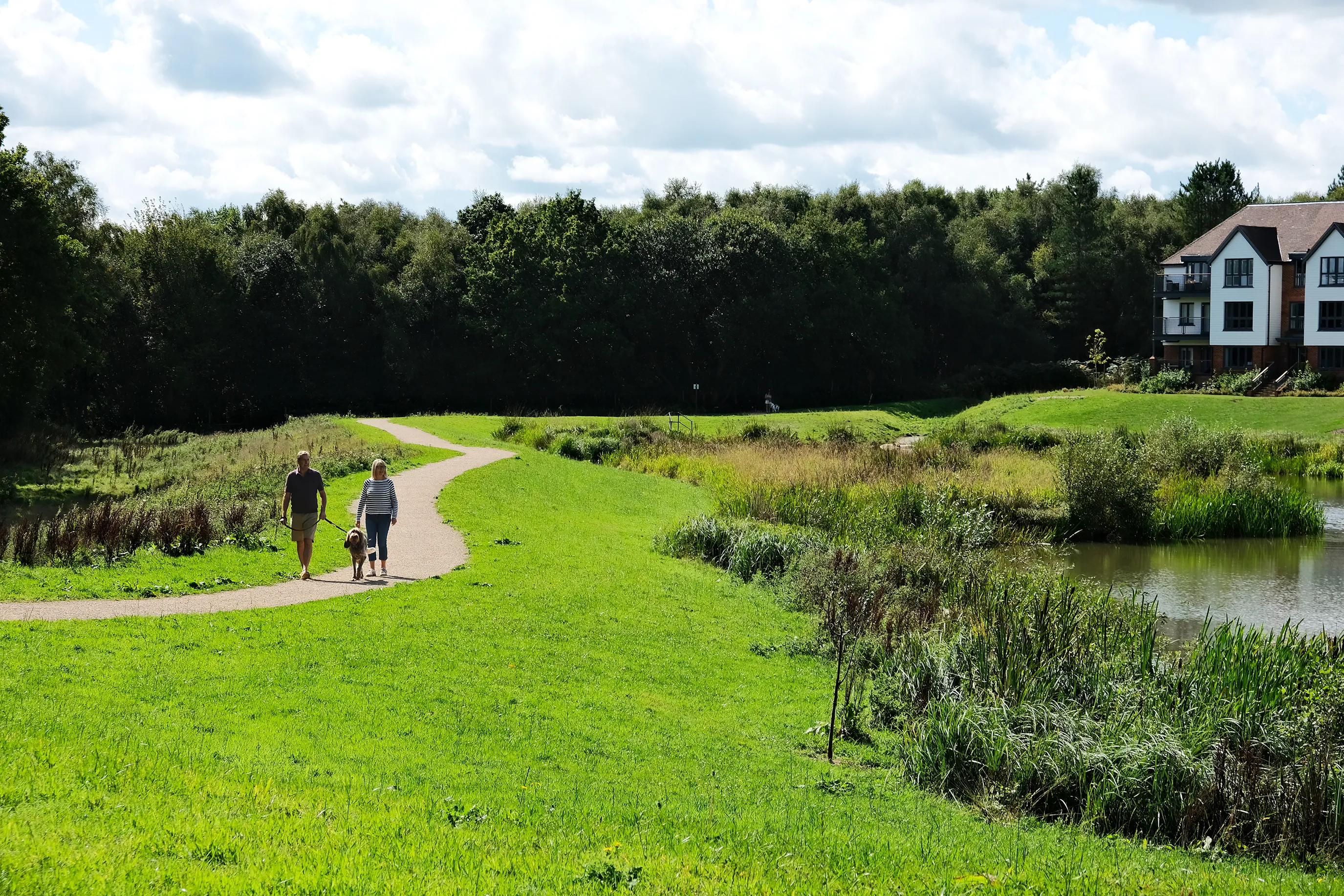 Two people walking a dog along a winding path in a grassy park area next to a pond, with trees in the background and a house visible on the right side.