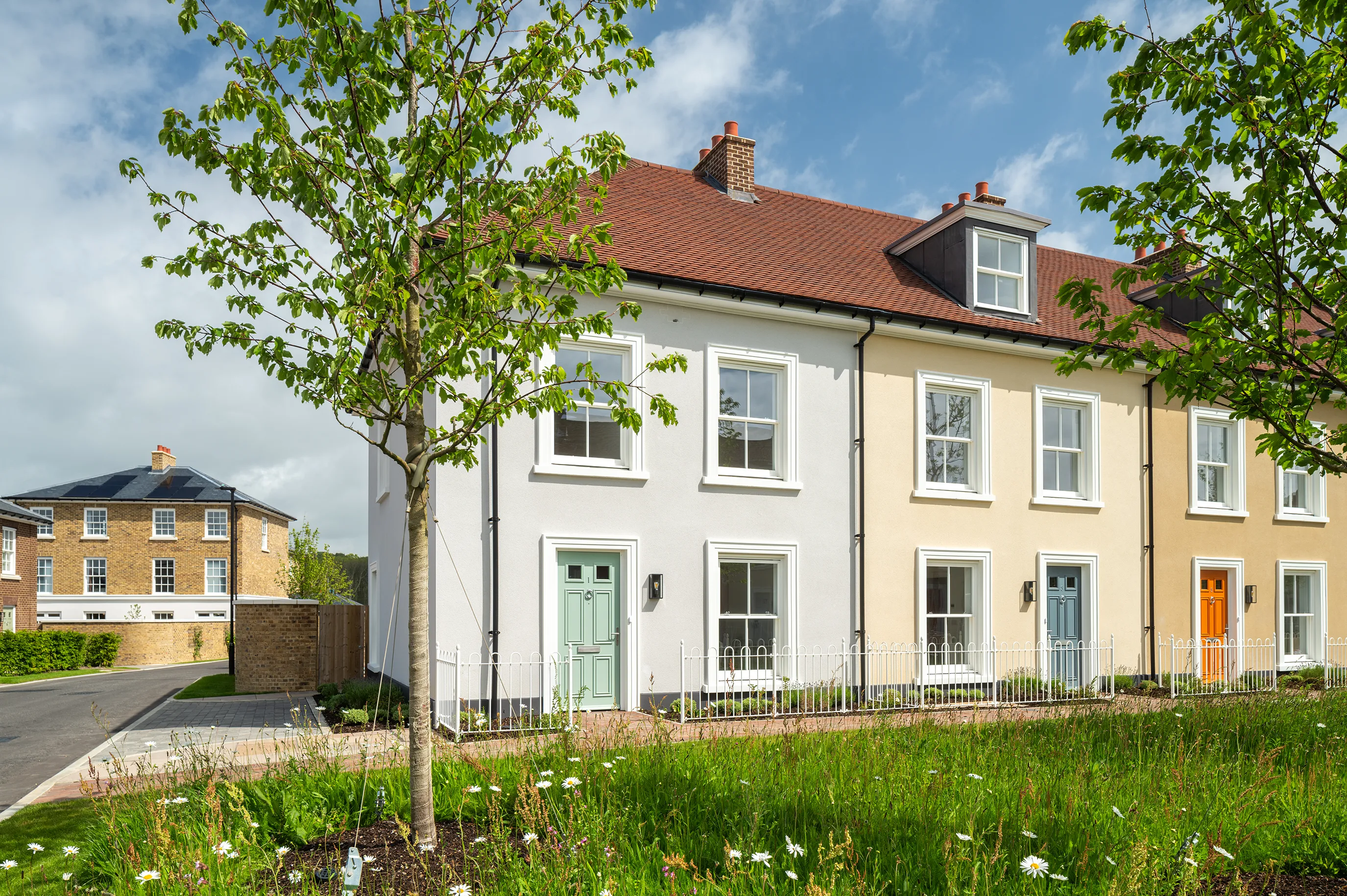 Row of terraced houses with white and cream walls, coloured front doors, and a tree and planting in the foreground