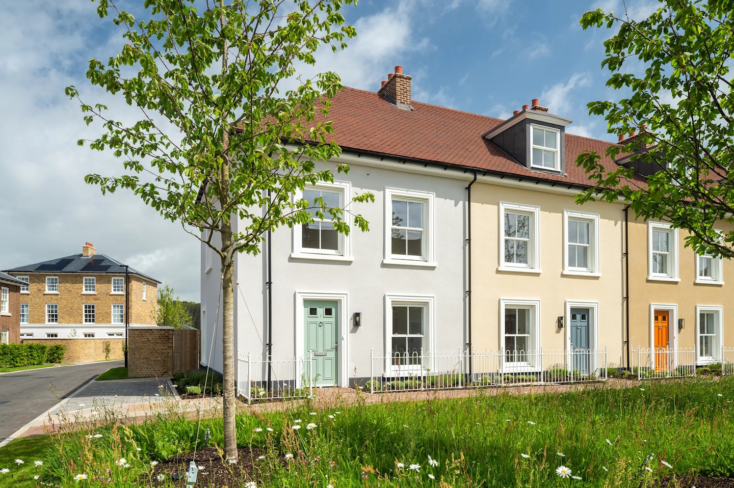 Row of terraced houses with white and cream walls, coloured front doors, and a tree and planting in the foreground