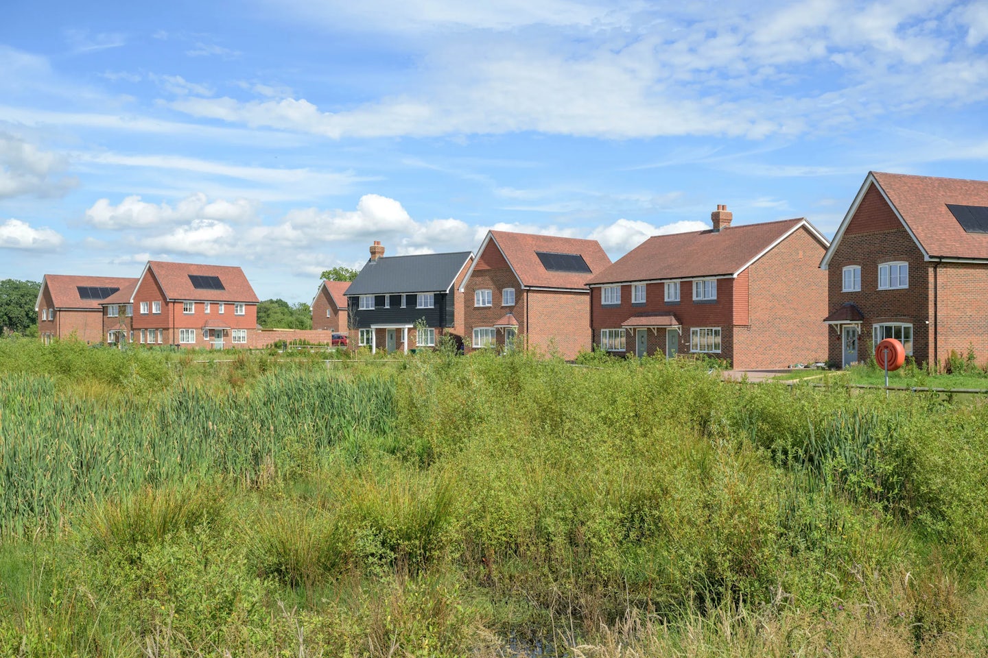 New homes beside a large green space with tall grass and planting, under a bright sky.