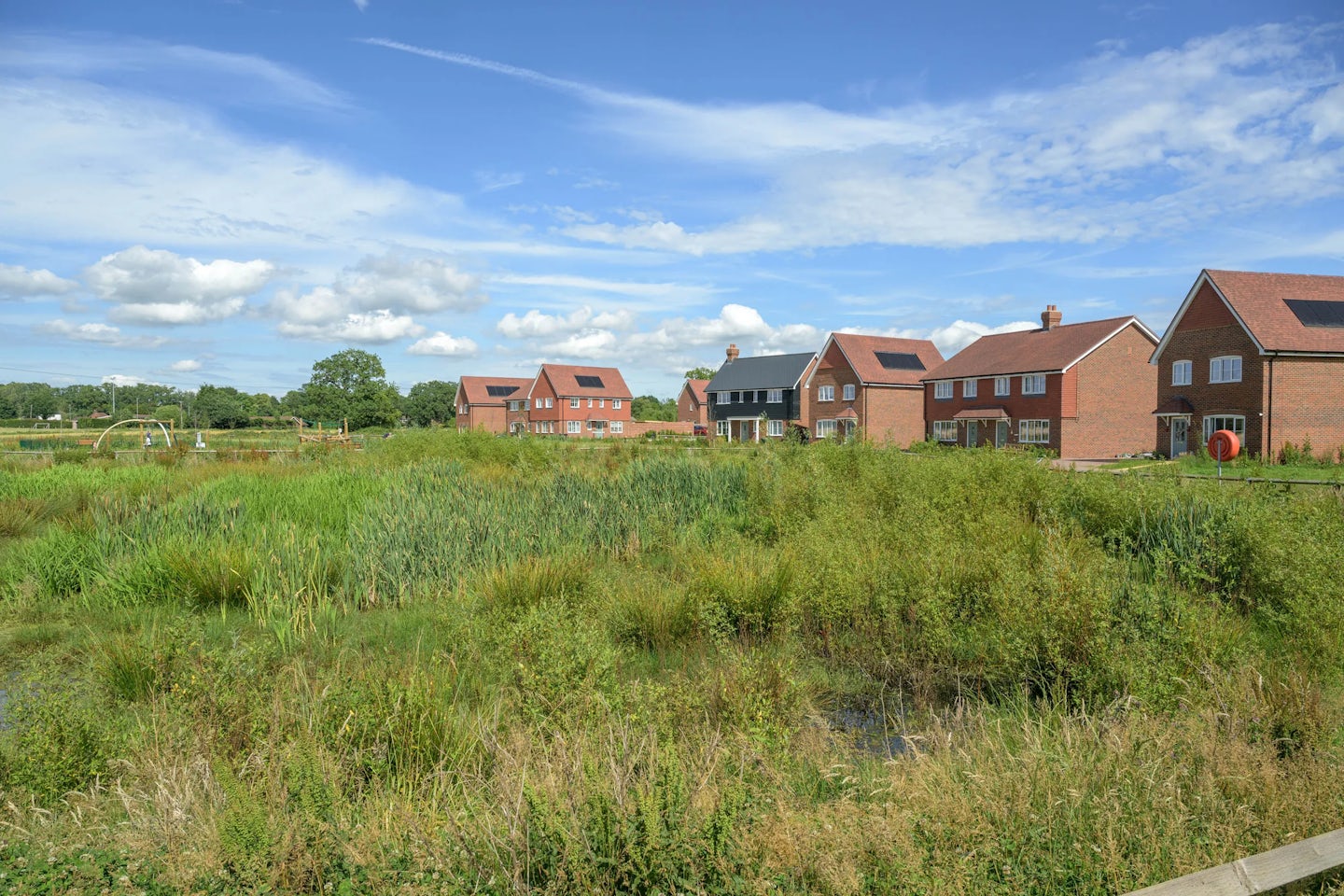 Wide view of houses overlooking landscaped green space with grasses and trees.