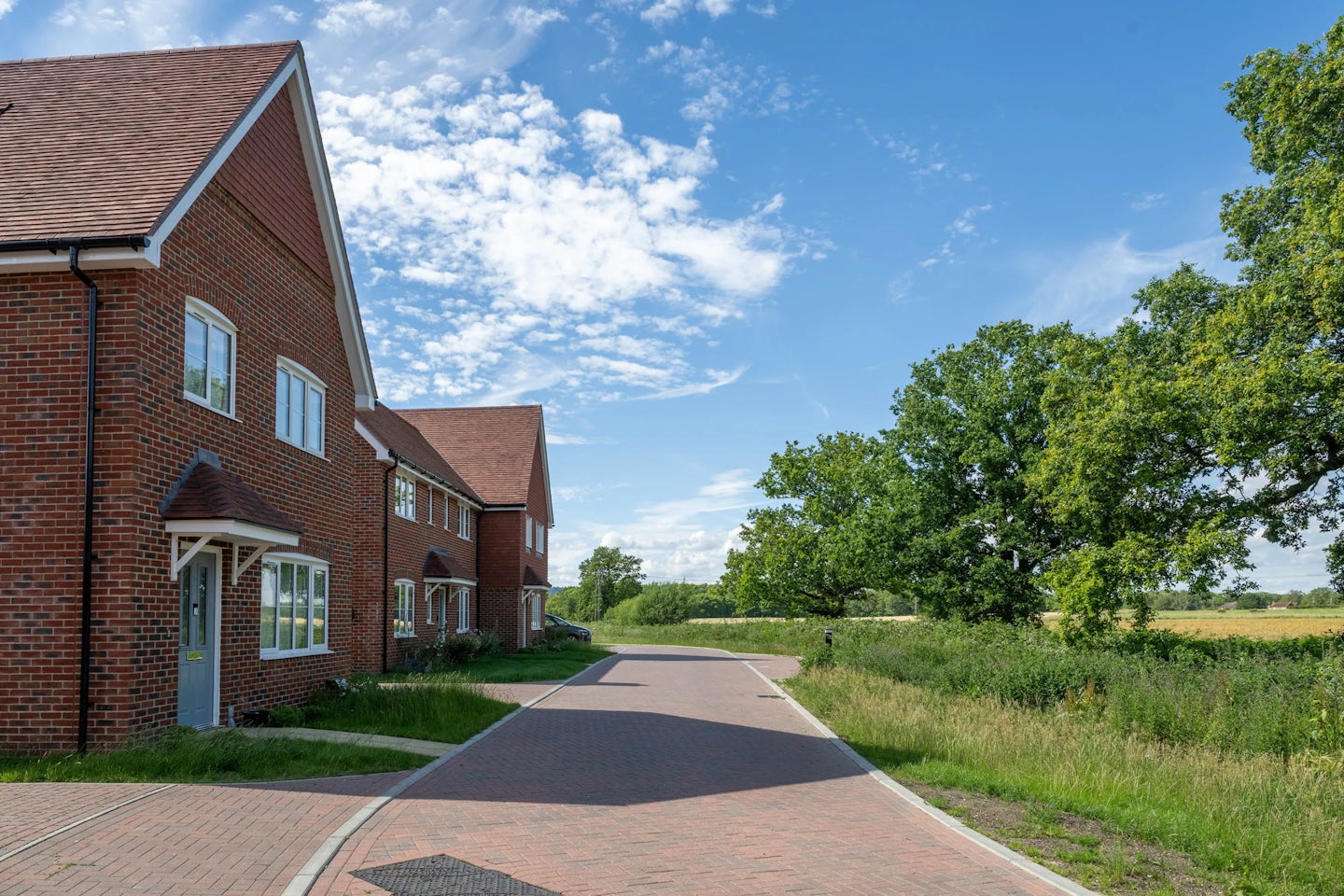 Houses along a tree-lined road next to open countryside, with grass verge and clear sky.