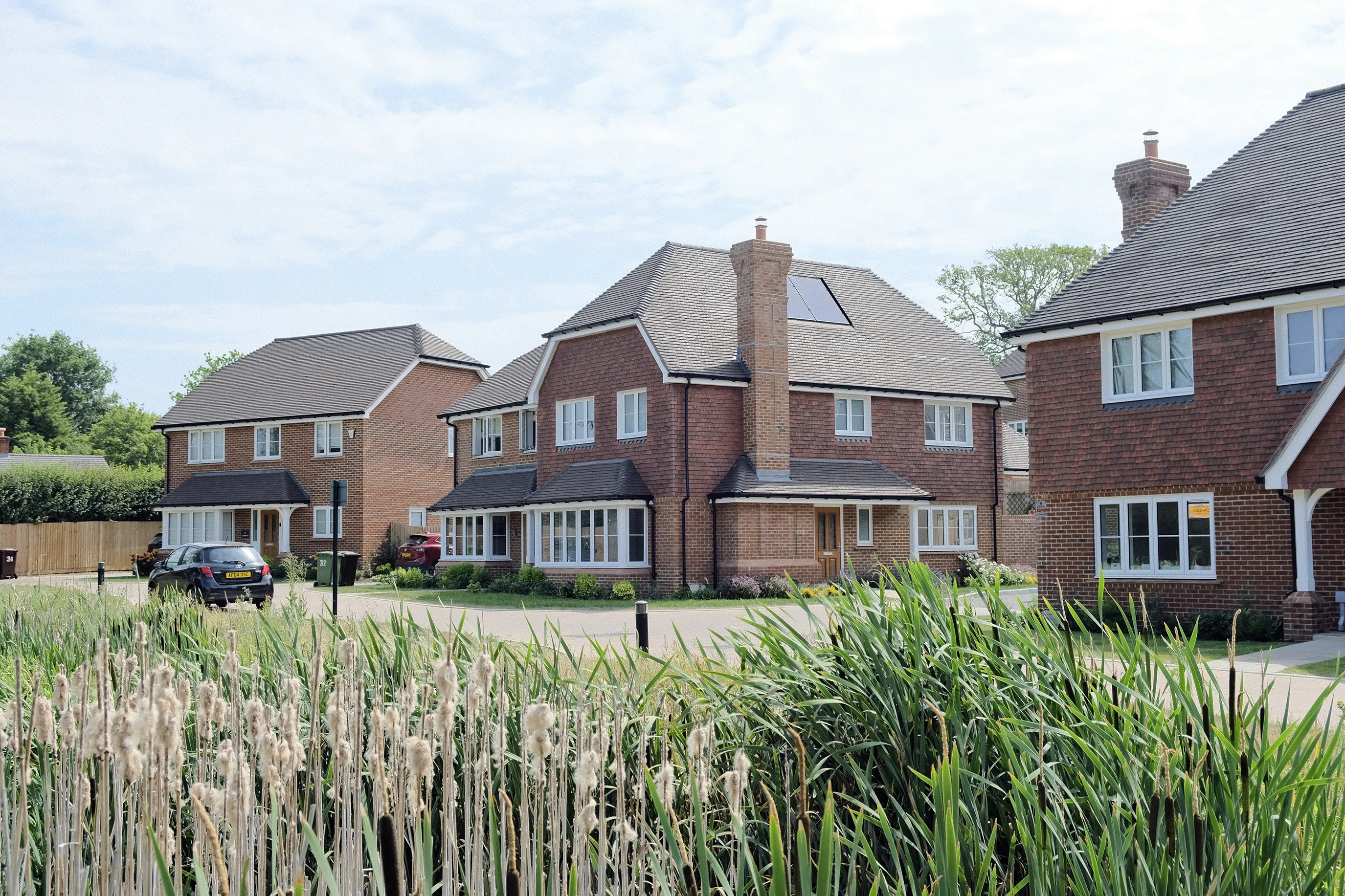 Row of new build brick houses in a suburban area with tall grass and reeds in the foreground.