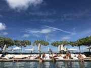 people on beach during daytime