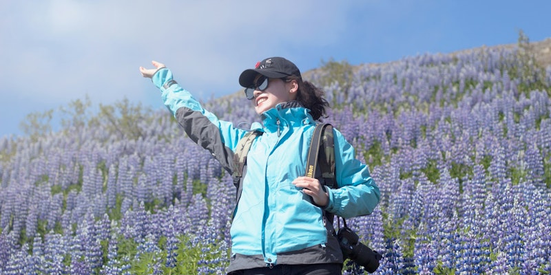 unknown person standing on lavender flower field