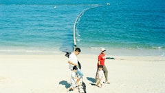 Family walking on a sandy beach by the ocean