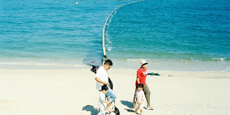Family walking on a sandy beach by the ocean
