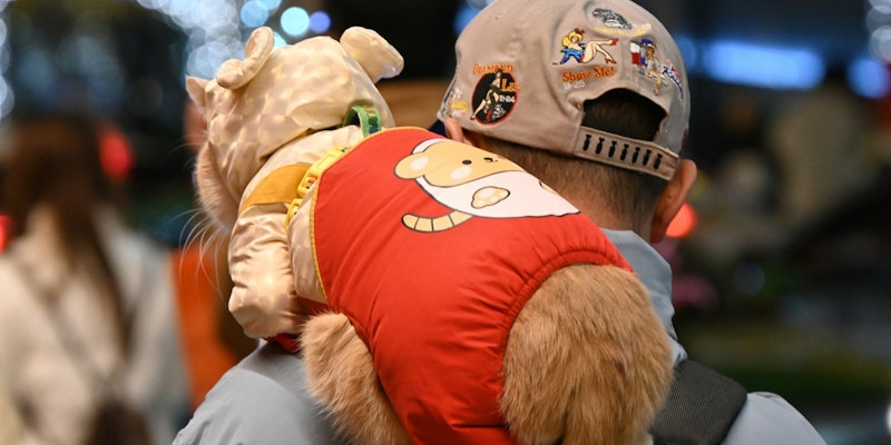 Person carrying a cat in a santa-themed jacket