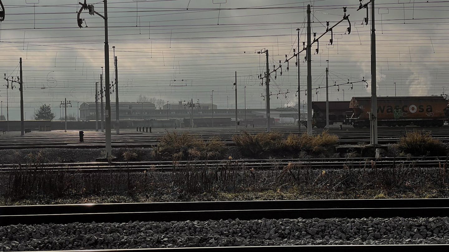 bvft-004
