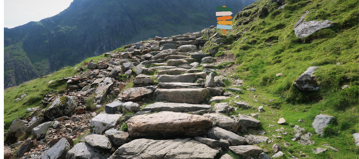 Life After Cancer: More Questions than Answers?