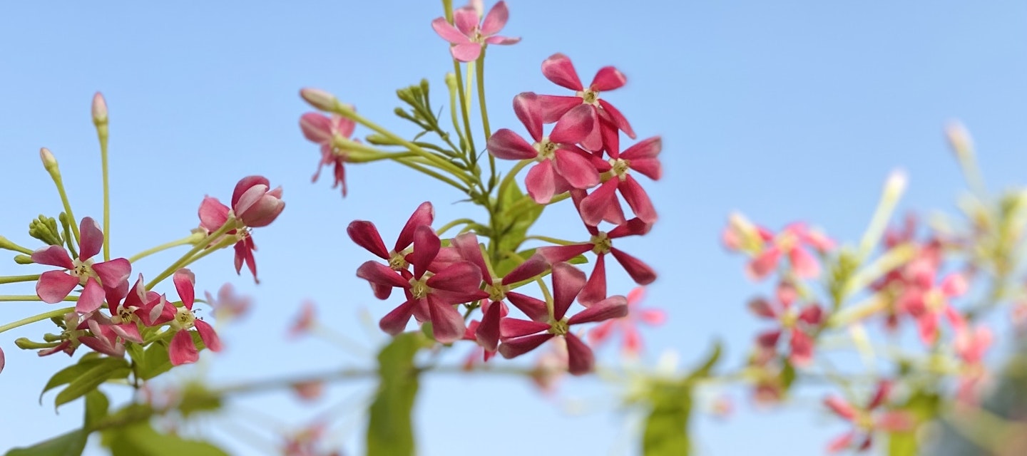 Healing Starts with Light: Our Spring Reflections