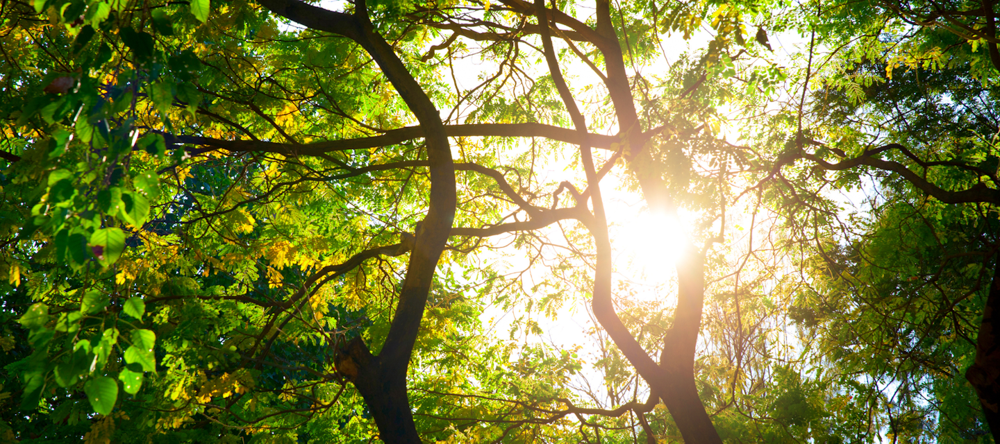 Your Guide to Radiotherapy