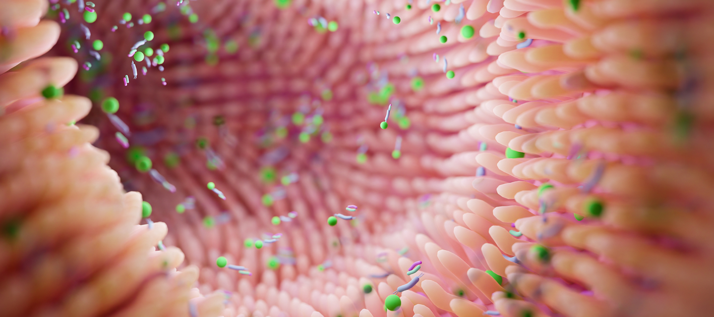 Trust Your Gut - Why Digestive Health Matters In Cancer