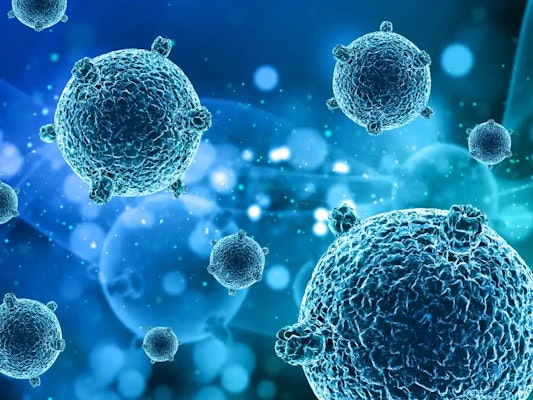 Toxoplasmose: o que é, sintomas e tratamento