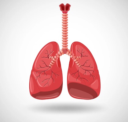 Saúde Respiratória: doenças e cuidados