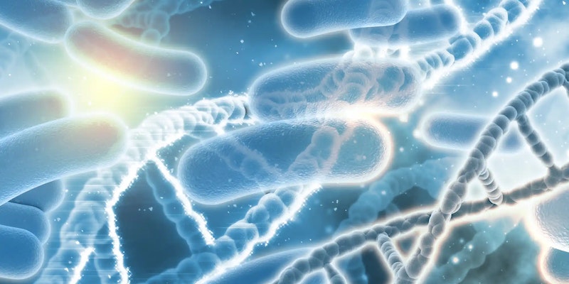 Probióticos: o que são e benefícios