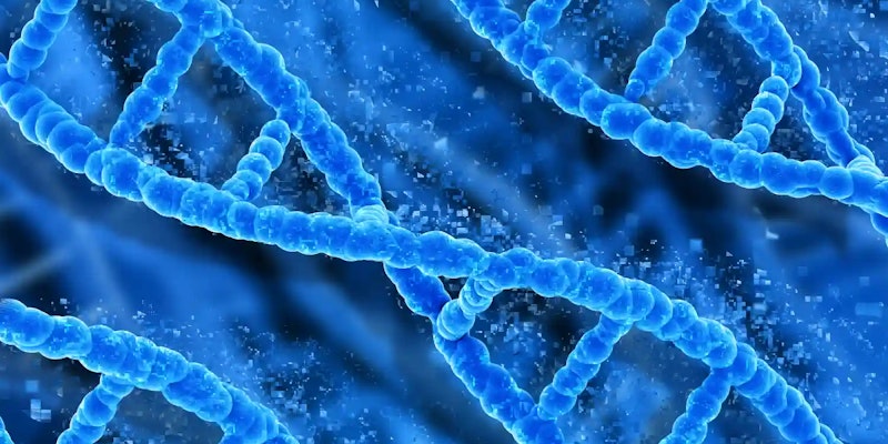 Síndrome do X Frágil: O que é, causas e tratamentos