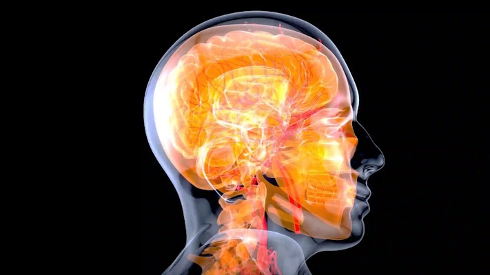 Glândula pineal: o que é, função e localização