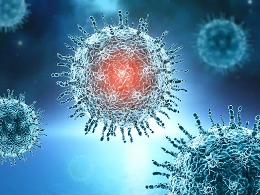 Ebola: conheça esse vírus que pode matar