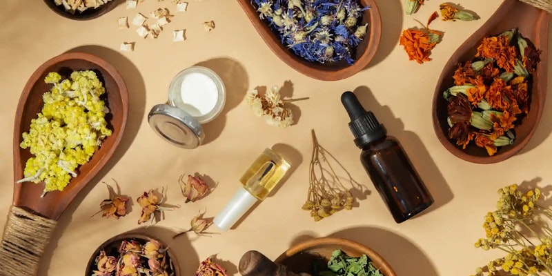 Fitoterapia: o que é, como funciona e mais!