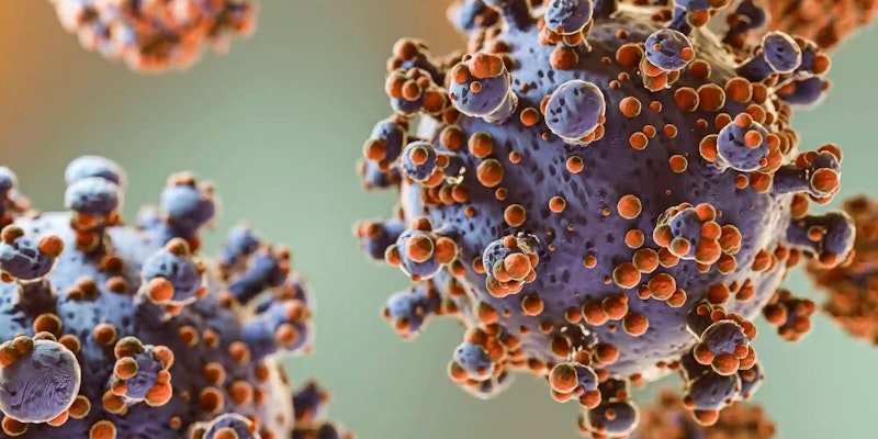 Toxoplasmose: sintomas e tratamentos