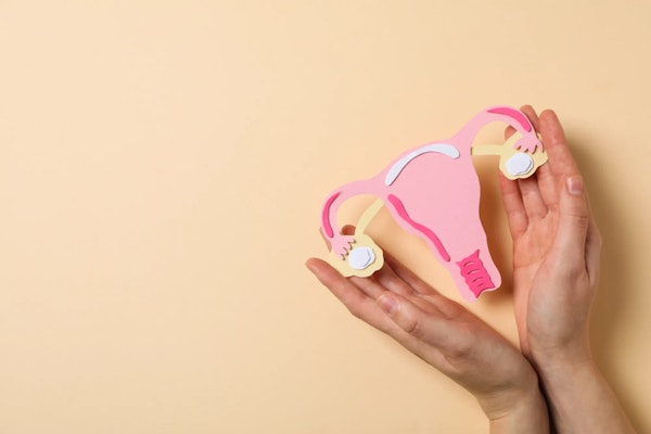 Vaginose Bacteriana: Entenda o que é