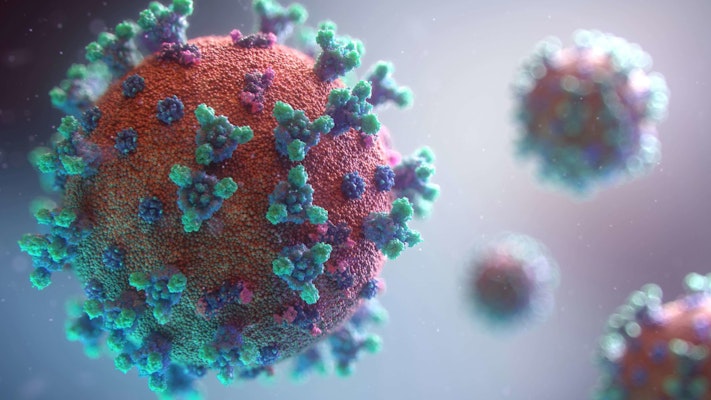 Vírus sincicial respiratório (VSR): o que é, sintomas e prevenção