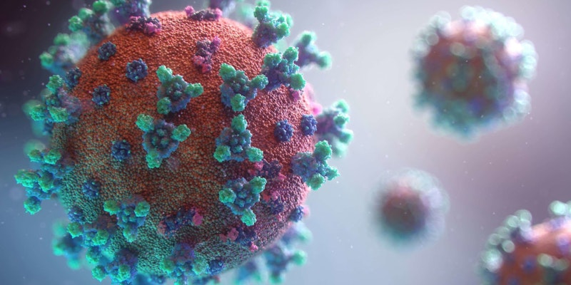 Vírus sincicial respiratório (VSR): o que é, sintomas e prevenção