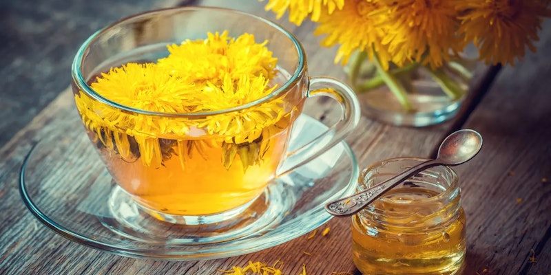 Chá de dente de leão: quando tomar e benefícios
