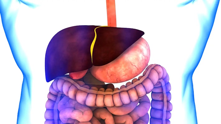 Distúrbios Biliares: o que são, quais os principais tipos, sintomas e tratamentos