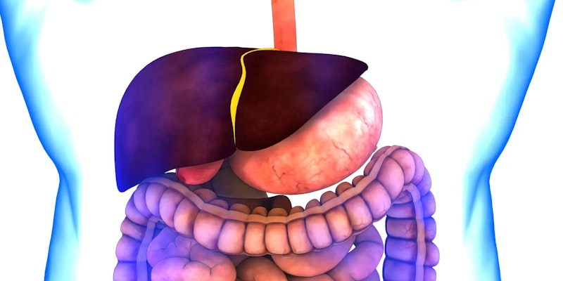 Distúrbios Biliares: o que são, quais os principais tipos, sintomas e tratamentos