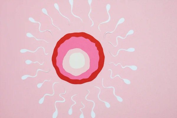 Infertilidade: quando engravidar não acontece e quais caminhos existem